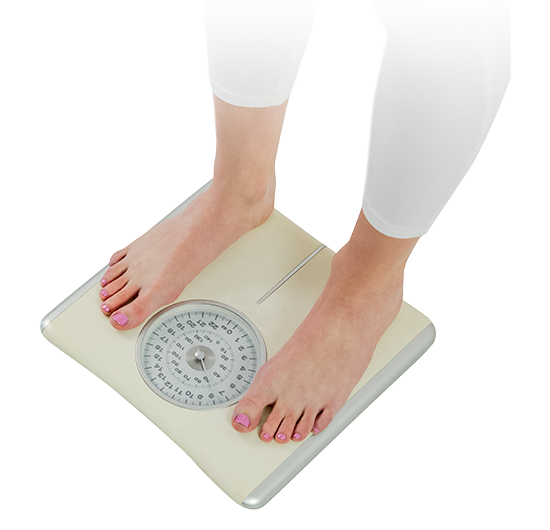 point_box_diet